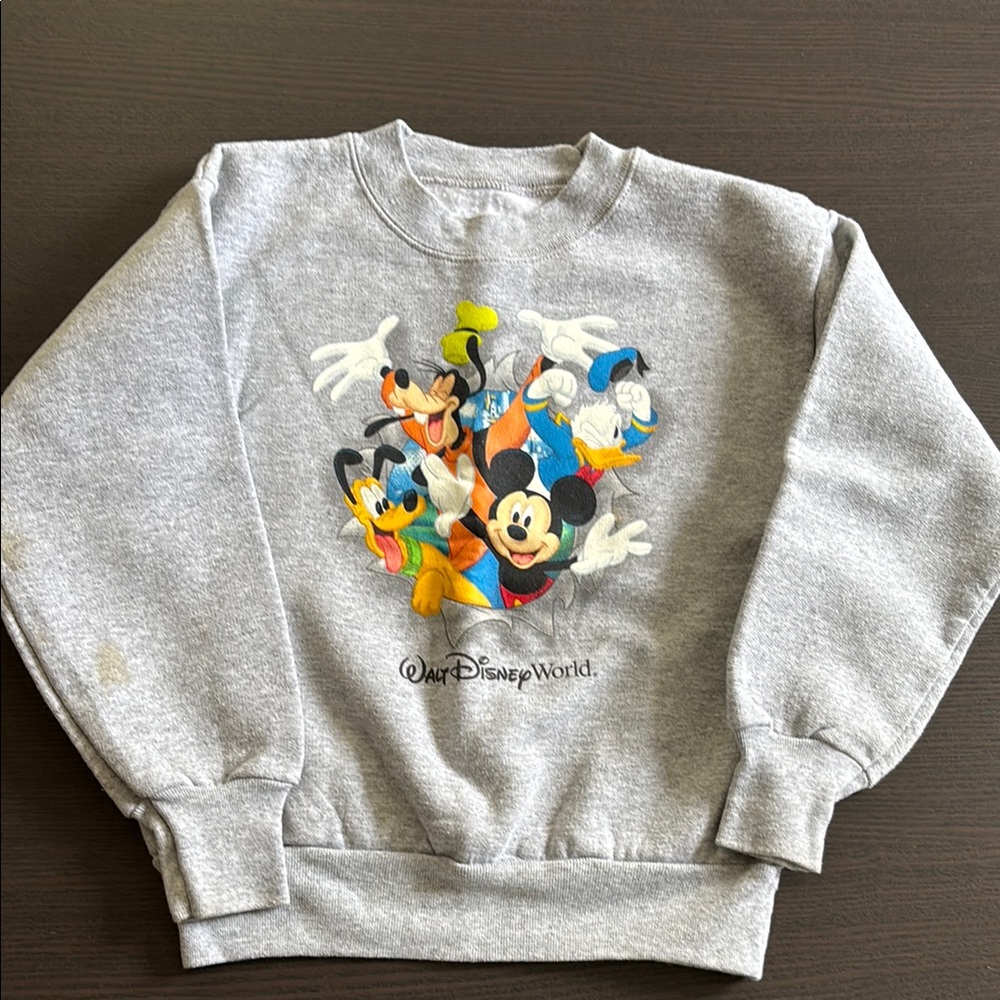 Disney World Sweatshirt - Small